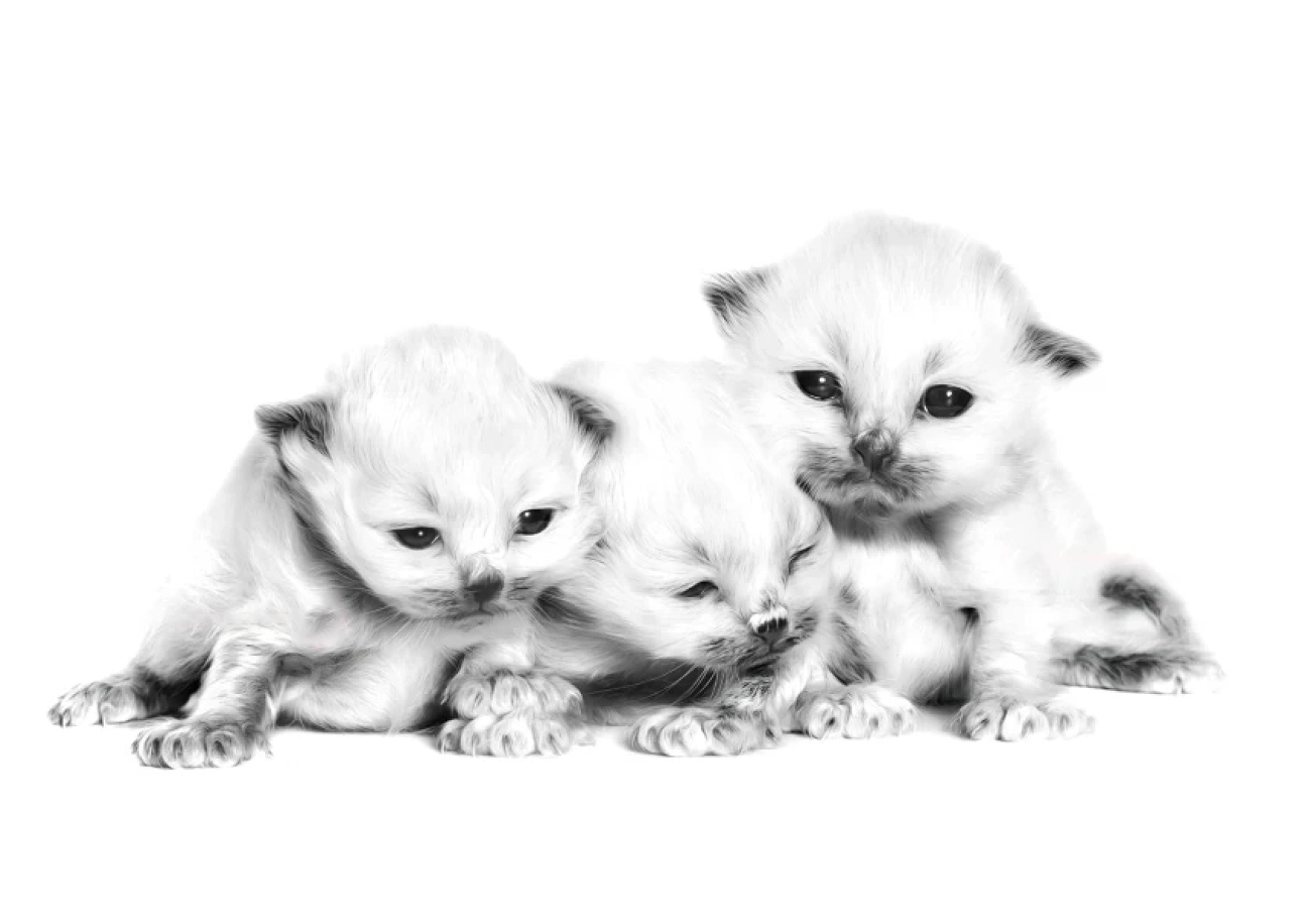 Неонатальный. 0‑3 недель