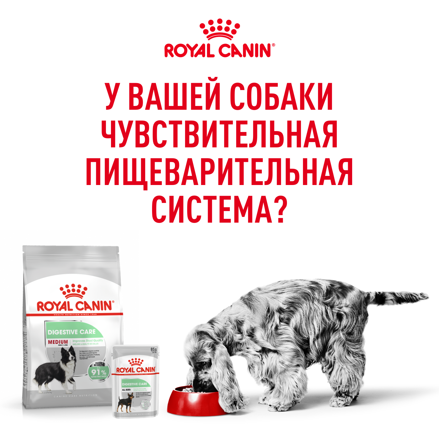 Digestive Care