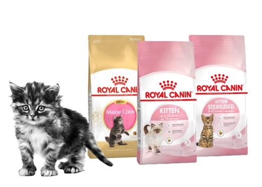 Повседневные рационы для котят