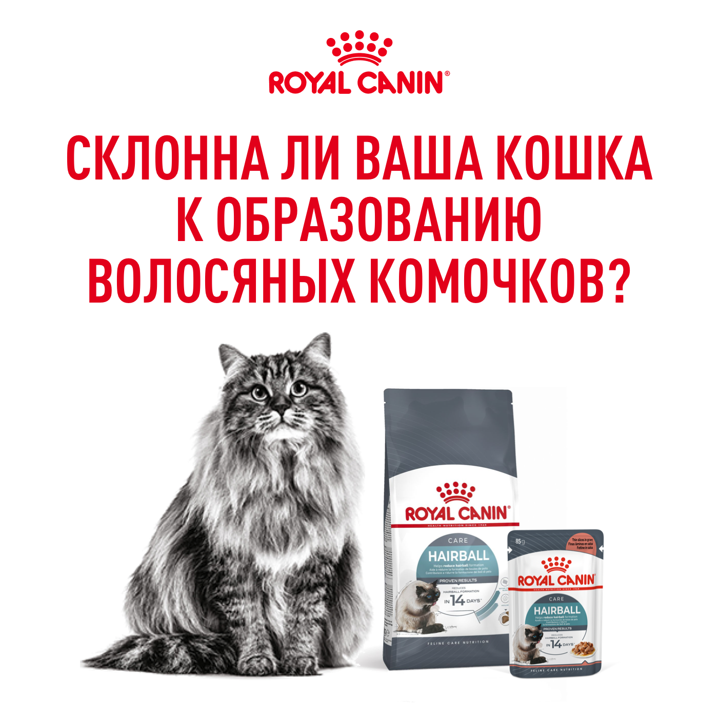 Hairball Care
