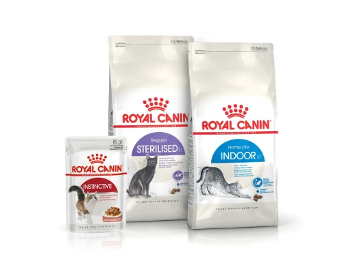 Повседневные рационы для кошек