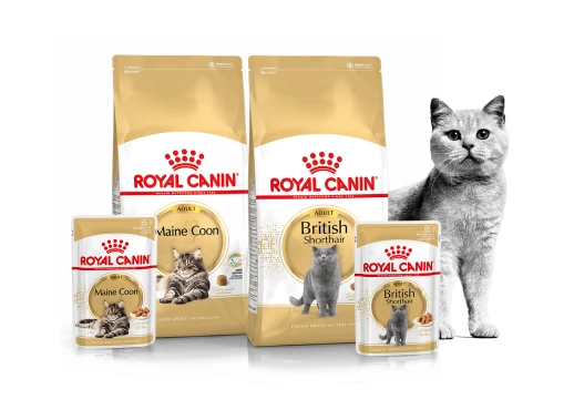 Рационы для породистых кошек