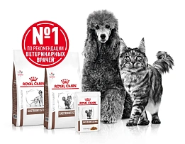 Ветеринарный влажный рацион для кошек