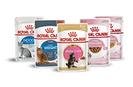 Влажные рационы для кошек